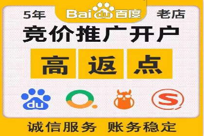 行业领先SEM服务公司案例研究